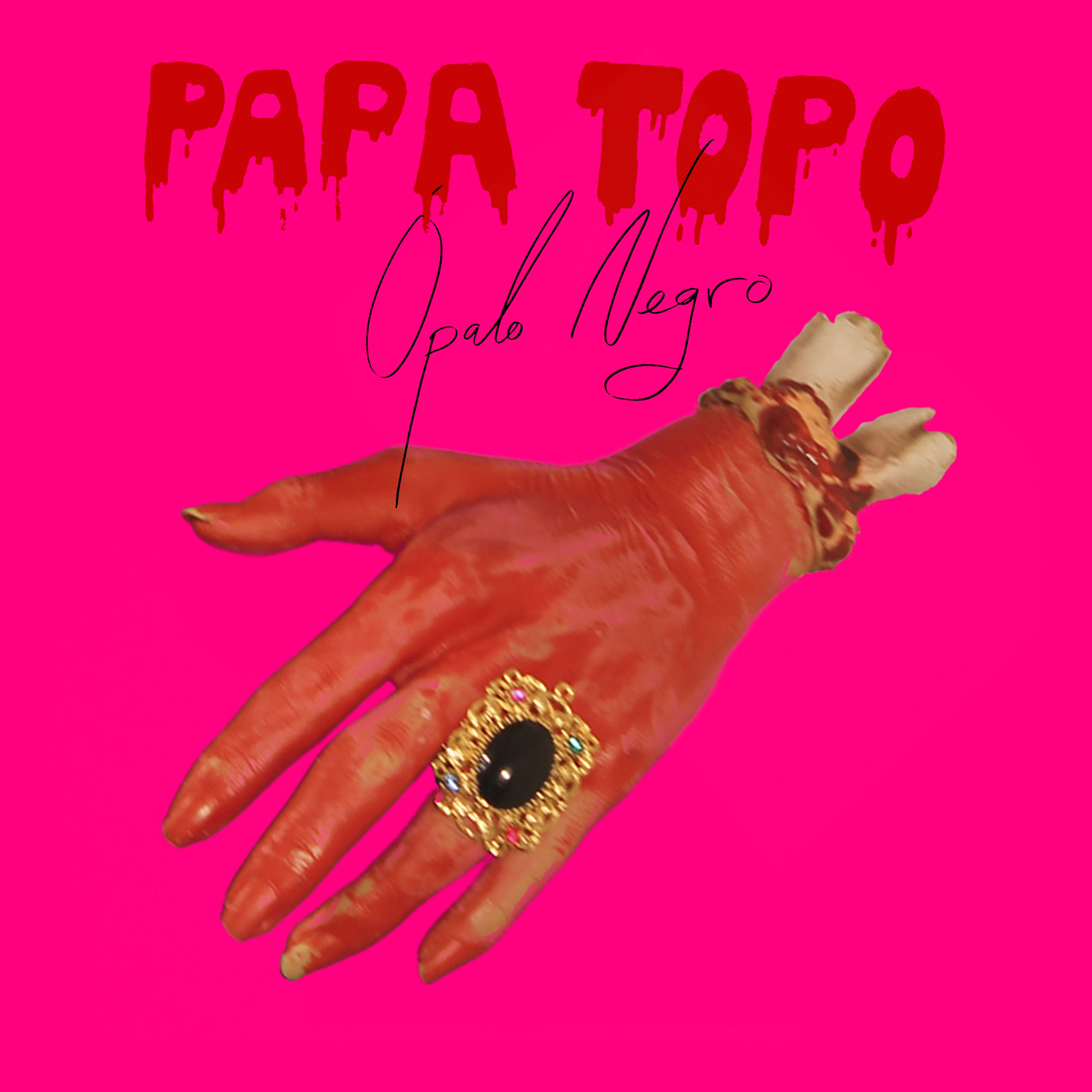 Imagen destacada de noticia: PAPA TOPO: Publican "Ópalo Negro", Single Digital de adelanto de su álbum “Ópalo Negro”